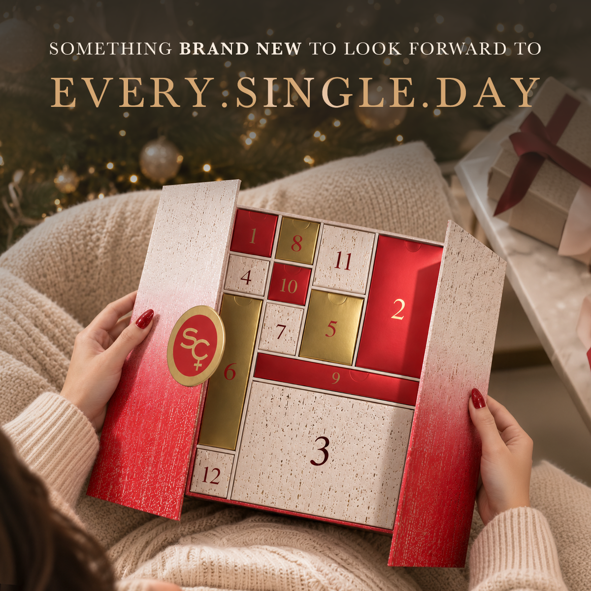 Calendar Collection - 12-Day Edition
