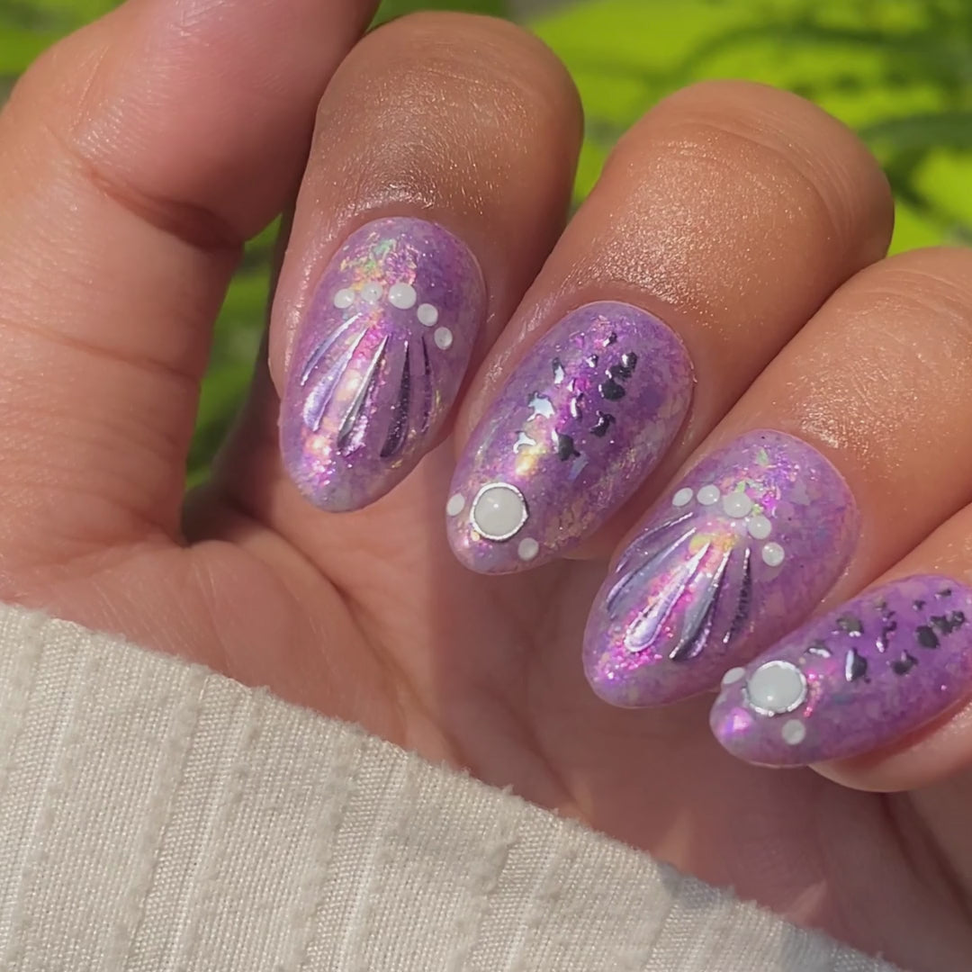 Seashells