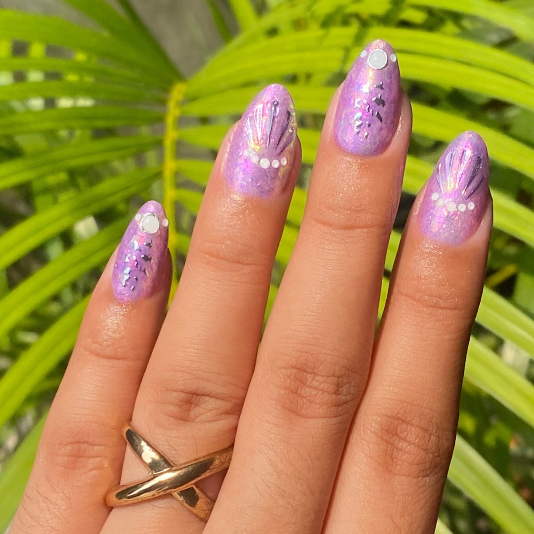 Seashells